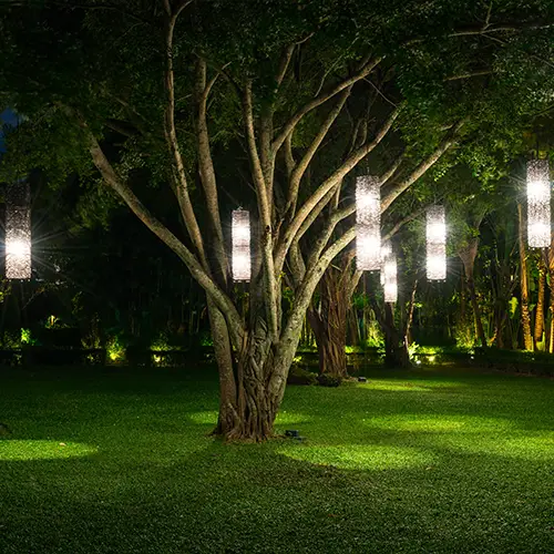 Landscape Lights