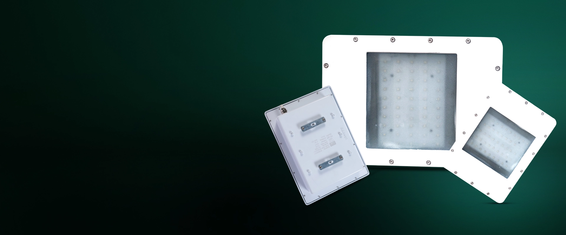 Adjustable Down Light