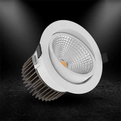 Adjustable Downlighter