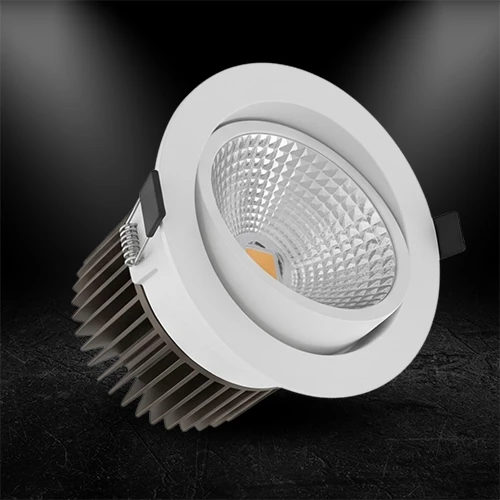 Adjustable Downlighter