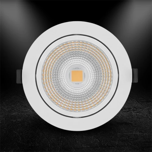 Adjustable Downlighter