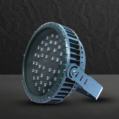 Focus Round Flood Light